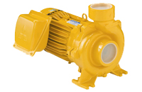 ปั๊มน้ำหอยโข่ง-WCL ปั๊มน้ำหอยโข่ง-WCL