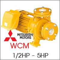 ปั๊มน้ำหอยโข่ง-WCM ปั๊มน้ำหอยโข่ง-WCM